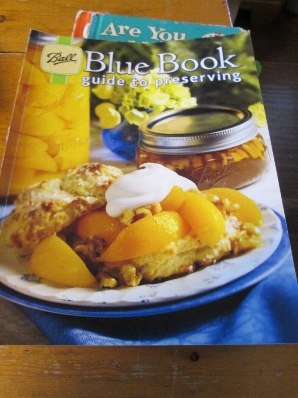 Ball blue book guide to canning lg paperback 2012